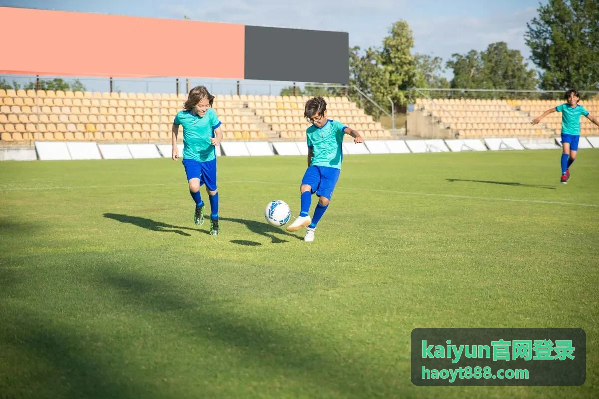 kaiyun官网登录账号安全设置说明封面